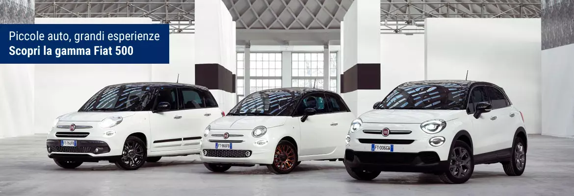 Noleggio a lungo termine Fiat 500