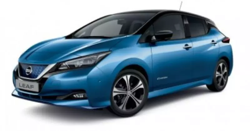 noleggio a lungo termine Nissan Leaf  Elettrica