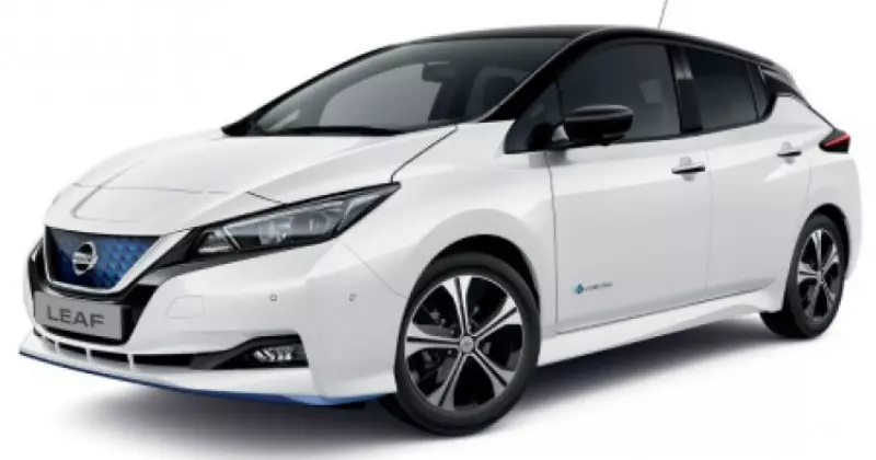 noleggio a lungo termine Nissan Leaf  Elettrica