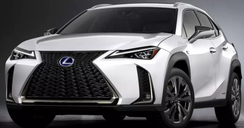 noleggio a lungo termine Lexus UX Hybrid business