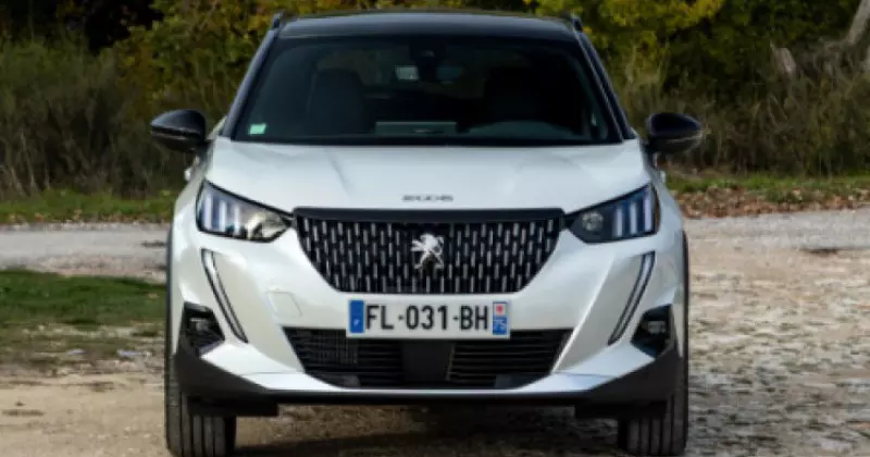 noleggio a lungo termine Peugeot 2008 ELECTRIC